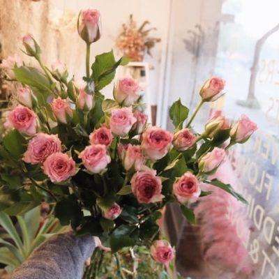 pg棋牌软件平台游戏